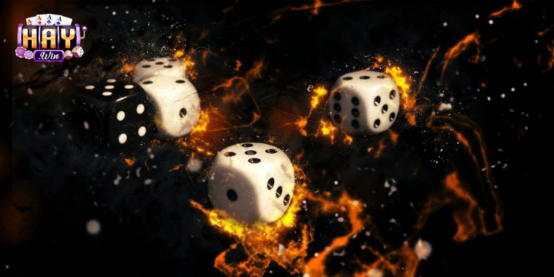 Các Loại Cầu Tài Xỉu MD5 Tại HAYWIN Dễ Nhận Biết 2026