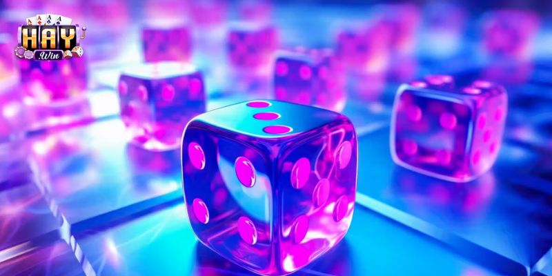 Lời giải cho những thắc mắc thường gặp 2026