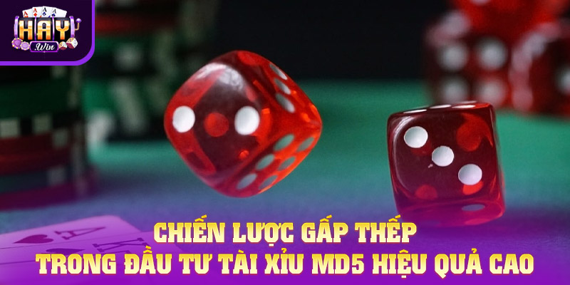 Chiến lược gấp thếp trong đầu tư Tài xỉu MD5 hiệu quả cao