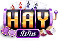 Haywin Logo
